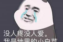 南城讨债公司成功追讨回批发货款50万成功案例